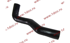 Патрубок радиатора верхний (евро3) (1303011-Т2201) 57*60 (изогнутый) DF для самосвалов фото Москва