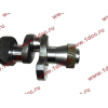 Коленвал двигателя TD226B6G CDM 833 Lonking CDM (СДМ) 12272497 фото 2 Москва