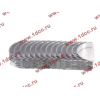 Вкладыши коренные стандарт +0.00 (14шт) LONGGONG CDM833 Lonking CDM (СДМ) 13034908/13034916 фото 2 Москва