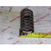 Пружина клапана WP12 SHAANXI / Shacman (ШАНКСИ / Шакман) 612630050005 фото 3 Москва